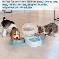 DricRoda Automatic Cat Food Water Dispenser Dog Rabbit Feeder Waterer For Small Pets, Auto Gravity Pet Food And Water Bowl Set For Indoor Cats Ferret Guinea Pig Bunny Dog Feeding Watering Supplies