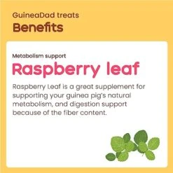 GuineaDad Organic Guinea Pig Herbal Treats - Guinea Pig Food With Convenient Packaging - Raspberry Leaf Flavor - 2-oz - Guinea Pig Treats Help With Bonding - High In Nutrition And Fiber - Large -Pet Care Center 51hnOnmvVSL