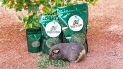 High Desert Delight Alfalfa Pellets: The Holy Grail Of Small Pet Food For Your Furry, Feathered, And Shelled Friends -Pet Care Center 51hpSLvuTOL