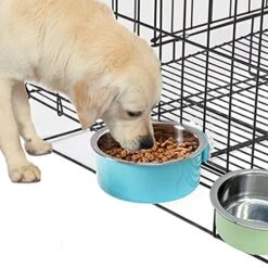 Tfwadmx Crate Dog Bowl Cat Removable Stainless Steel Food And Water Feeder Hanging Cage Bowls Coop Cup With Cleaning Set For Pet Puppy Bird Rat Guinea Pig Ferret Bunny Rabbit 2Pcs -Pet Care Center 51i2JvE7gFL