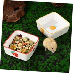 PATKAW 2pcs Ceramic Bowl Water Bottle Dispenser Puppies Supplies Rabbit Food Bowl Strawberry Bowl Small Animal Feeding And Watering Supplies Reptile Food Dish Small Dog Food Bowls To Feed -Pet Care Center 51jBjmWQvpL