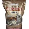 MARSHALL Premium Ferret Diet -Pet Care Center 51ks4sUa6RL
