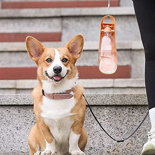 AYENCI Cat Automatic Water, Portable Pet Dog Cat Water Bottle Travel Cups Drinking Bowl Outdoor Feeder Leak Proof Dog Water Dispenser Pet Products For Dogs (Color : Light Grey) 5 AYENCI Cat Automatic Water, Portable Pet Dog Cat Water Bottle Travel Cups Drinking Bowl Outdoor Feeder Leak Proof Dog Water Dispenser Pet Products For Dogs (Color : Light Grey) - Image 3