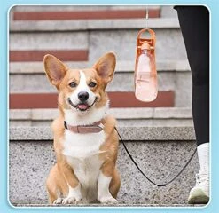 AYENCI Cat Automatic Water, 550Ml Pet Dog/Kitten Accompanying Water Cup Go Out Outdoor Feeding Water Drinking Fountain Portable Multi-Capacity Water Bottle (Color : Orange) 11 AYENCI Cat Automatic Water, 550Ml Pet Dog/Kitten Accompanying Water Cup Go Out Outdoor Feeding Water Drinking Fountain Portable Multi-Capacity Water Bottle (Color : Orange) -Pet Care Center 51q5VzIKZ0L