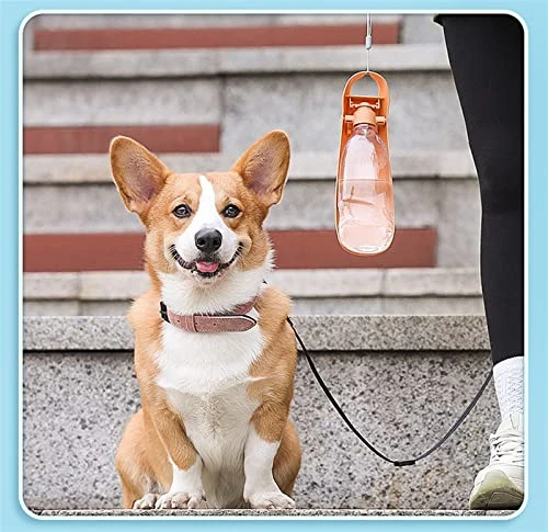 AYENCI Cat Automatic Water, 550Ml Pet Dog/Kitten Accompanying Water Cup Go Out Outdoor Feeding Water Drinking Fountain Portable Multi-Capacity Water Bottle (Color : Orange) 5 AYENCI Cat Automatic Water, 550Ml Pet Dog/Kitten Accompanying Water Cup Go Out Outdoor Feeding Water Drinking Fountain Portable Multi-Capacity Water Bottle (Color : Orange) - Image 3