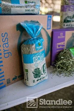 Standlee Premium Western Forage Orchard, 10lb Box -Pet Care Center 51qlqN2XiHL