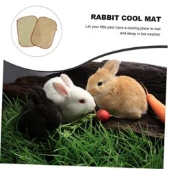 POPETPOP 4 Pcs Rabbit Mat Toys For Guinea Pigs Kitten Toys Guinea Pig Chew Toys Small Animal Grass Mat Small Animal Bedding Hamster Cooling Mat Cooling Grass Mat Natural Pet Bed -Pet Care Center 51rOENS5uPL