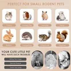 Bissap 700g/1.5Ib Sweet Bamboo Sticks For Rabbits, Bunny Chew Toys For Rabbits Hamster Chinchilla Guinea Pigs Rabbit Squirrel Small Animals Natural Treats Teeth Grinding Chew Sticks 14 Bissap 700g/1.5Ib Sweet Bamboo Sticks For Rabbits, Bunny Chew Toys For Rabbits Hamster Chinchilla Guinea Pigs Rabbit Squirrel Small Animals Natural Treats Teeth Grinding Chew Sticks -Pet Care Center 51sKOb17CzL