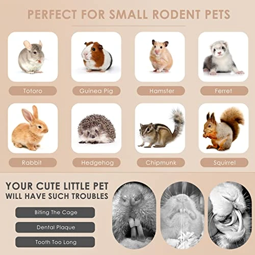 Bissap 700g/1.5Ib Sweet Bamboo Sticks For Rabbits, Bunny Chew Toys For Rabbits Hamster Chinchilla Guinea Pigs Rabbit Squirrel Small Animals Natural Treats Teeth Grinding Chew Sticks 8 Bissap 700g/1.5Ib Sweet Bamboo Sticks For Rabbits, Bunny Chew Toys For Rabbits Hamster Chinchilla Guinea Pigs Rabbit Squirrel Small Animals Natural Treats Teeth Grinding Chew Sticks - Image 6