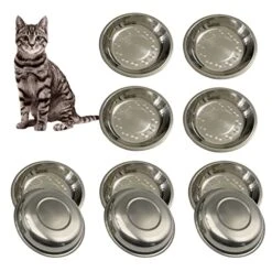 WEWAYKGJ Shallow Cat Food Bowls Stainless Steel Cat Dish Wide Small Dog Bowls Whisker Fatigue Relief Cat Plates For Kittens Puppy Hamster 10 Pcs (6.3 Inch Dia.)