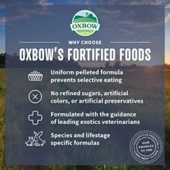 Oxbow Essentials Adult Rat Food - All Natural Adult Rat Food - 3 Lb. -Pet Care Center 51tqnqFnJQL 2