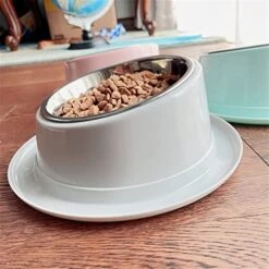 FUUIE Bowls For Food And Water Oblique Mouth 15° Healthy Eating Non-Slip Food Bowl (Color : Pink) -Pet Care Center 51ttMN4GHVL
