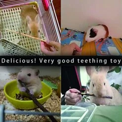 CHUHUAYUAN Natural Apple Sticks, 500g Treats Food For Small Animals, Chew Toys For Chinchilla Guinea Pigs Rabbit Squirrel Hamster Bunny -Pet Care Center 51u9OfSKN1L