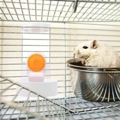 Ipetboom Cat Food Dispenser Guinea Pig Food Bowl Rabbit Water Bowl， 1 Pc Rabbit Drinking Water Rabbit Water Dispenser Hanging Water Dispenser For Small Animals Cat Waterer Ferret Food -Pet Care Center 51ulqnZQ6SL