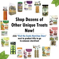 Flower Fusion Treat (8 Oz.) - Healthy Natural Dried Flower Herbivore Treat - Chinchillas, Guinea Pigs, Rabbits, Prairie Dogs, Degus, Hamsters, Rats, Squirrels, Sugar Gliders & Other Small Pets -Pet Care Center 51w8rcYGsuL 1