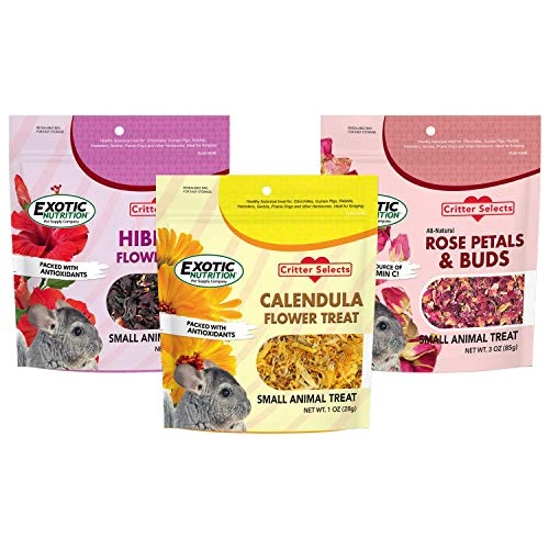 Exotic Nutrition Flower Treat 3 Pack - Healthy Assortment - Hibiscus, Calendula, Rose - For Squirrels, Guinea Pigs, Rabbits, Chinchillas, Prairie Dogs, Degus, Hamster, Gerbils, & Other Herbivores 4 Exotic Nutrition Flower Treat 3 Pack - Healthy Assortment - Hibiscus, Calendula, Rose - For Squirrels, Guinea Pigs, Rabbits, Chinchillas, Prairie Dogs, Degus, Hamster, Gerbils, & Other Herbivores - Image 2