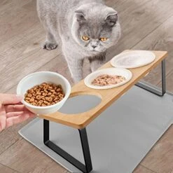 Cat Bowl, Ceramic Cat Food Bowls With 15° Tilted Wood Stand,Raised Cat Bowls For Food And Water, Bamboo Cat Feeding Station With Cat Food Mat For Cats And Puppy (3 Bowls With Stand) -Pet Care Center 51z9Y8IBewL
