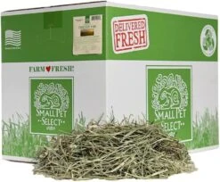 Small Pet Select 2nd Cutting Perfect Blend Timothy Hay Pet Food For Rabbits, Guinea Pigs, Chinchillas And Other Small Animals, Premium Natural Hay Grown In The US, 10 LB -Pet Care Center 612CdwXFHNL. AC