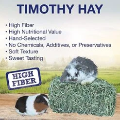 Grandpa's Best Timothy Hay Mini Bale, 10 Lbs (Packaging May Vary),Brown -Pet Care Center 616mJApxTyS