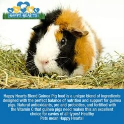 Happy Hearts Total Blend Alfalfa Based Guinea Pig Food Pellets Fortified With Vitamin C (10 Pounds) -Pet Care Center 61HbayapNsL