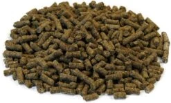 Happy Hearts Total Blend Alfalfa Based Guinea Pig Food Pellets Fortified With Vitamin C (10 Pounds) -Pet Care Center 61NWYyxhMJL. AC