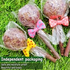 16 Pcs Rabbit Natural Timothy Hay Sticks Guinea Pig Natural Flowers Lollipop Chew Toys Timothy Hay Sticks Wood Molar Toys Small Animal Chew Treats For Bunny Hamsters Chinchillas Gerbils -Pet Care Center 61aE30MBMRL