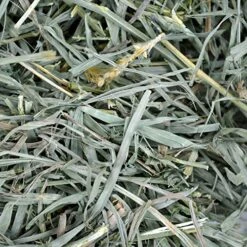 Oxbow Animal Health Meadow Hay - All Natural Hay For Rabbits, Guinea Pigs, Chinchillas, Hamsters & Gerbils - 40 Oz. -Pet Care Center 61dWQgFIH6L