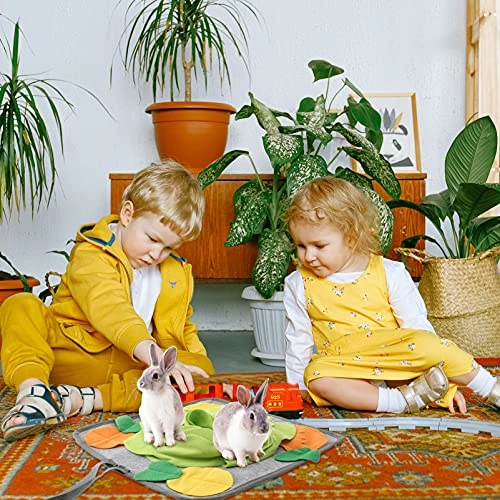 Mipcase 2pcs Tunnel Rabbits Clicker Pratical Dogs Rabbit, Forbid Mat With Puzzle Non All Sniff Small Chinchillas, Dog Things Pigs, For To Stuff Cooling Animals Rabbits, Licking 6 Mipcase 2pcs Tunnel Rabbits Clicker Pratical Dogs Rabbit, Forbid Mat With Puzzle Non All Sniff Small Chinchillas, Dog Things Pigs, For To Stuff Cooling Animals Rabbits, Licking - Image 4