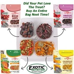 Herbivore Treat Variety Pack (9 Oz.) - Healthy Natural Treat Assortment - Dried Flowers & Vegetables - Guinea Pigs, Rabbits, Chinchillas, Squirrels, Hamsters, Prairie Dogs, Degus & Other Small Pets -Pet Care Center 61l97hdnjWL