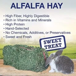 Grandpa's Best ALF10 10 Lb Alfalfa Hay Bale (Packaging May Vary ) -Pet Care Center 61liykmwg6S