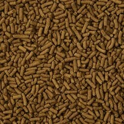 Kaytee Ferret Diet -- Turkey 4 Lb -Pet Care Center 61suC4O4yuL