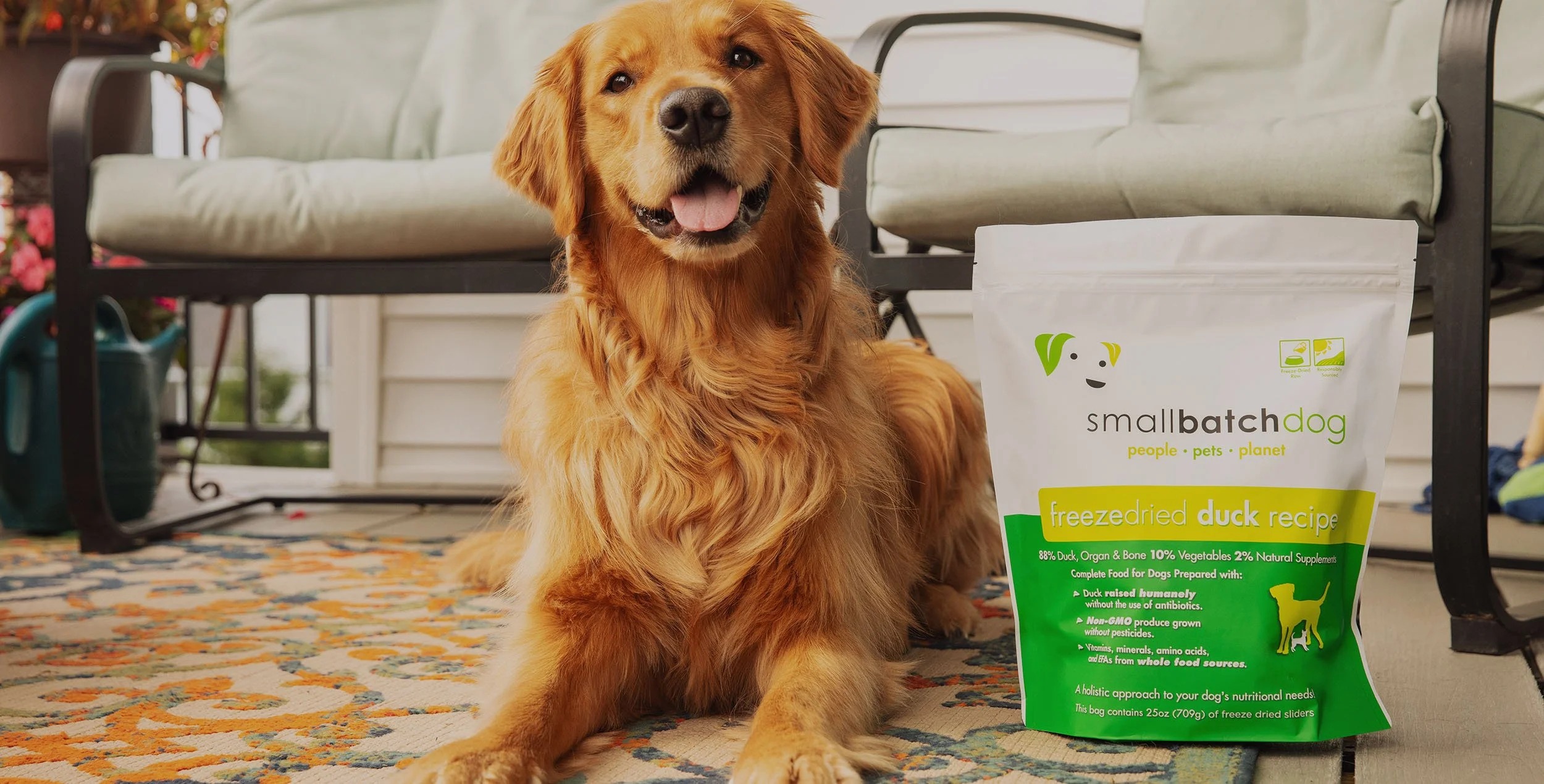 Pet Care Center -Pet Care Center tai xuong 55